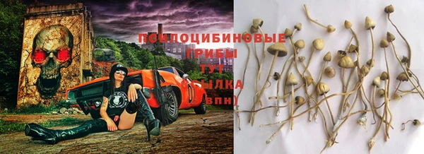 шишки Абдулино